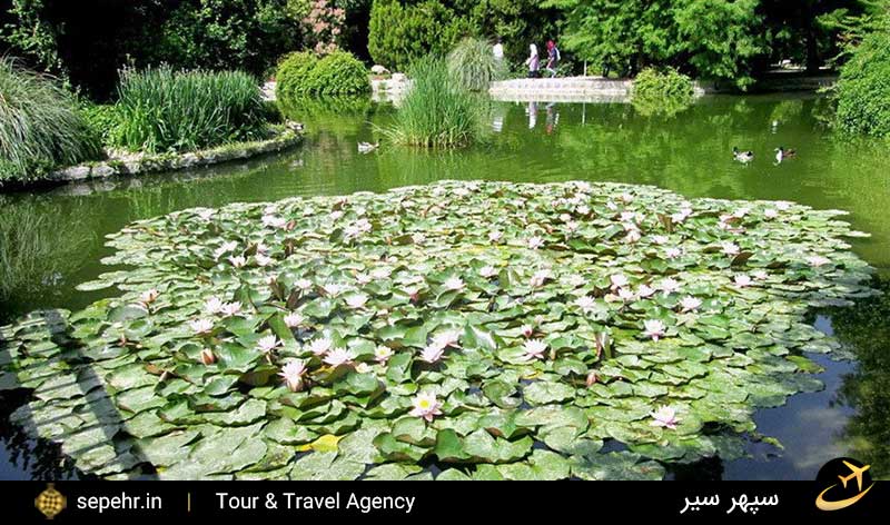 بازدید از برکه باغ گل اصفهان بعد از خرید بلیط هواپیما