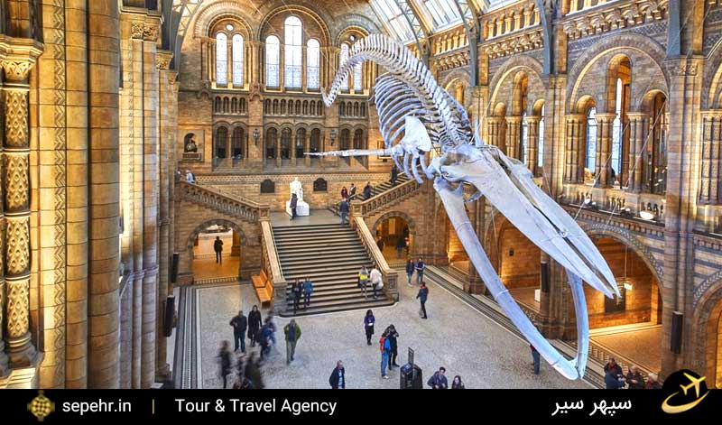 موزه تاریخ طبیعی لندن-خرید بلیط هواپیما